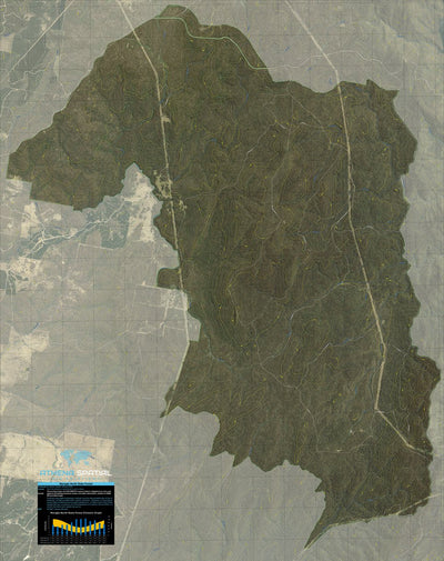 Maragle North State Forest Preview 1