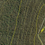 Maragle North State Forest Preview 2