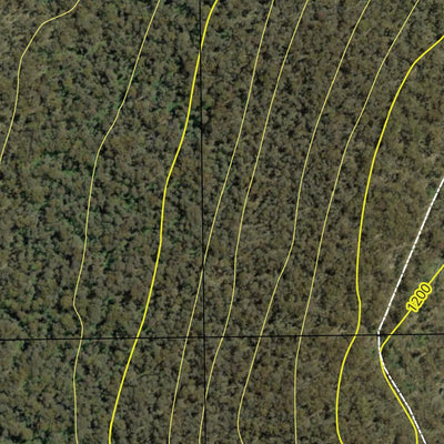 Maragle North State Forest Preview 2