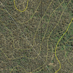 Maragle North State Forest Preview 3