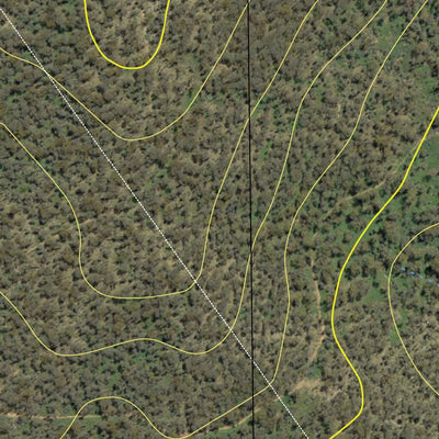 Maragle North State Forest Preview 3