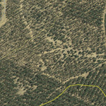 Athena Spatial Maragle South State Forest 2024 digital map