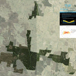 Athena Spatial Mount David State Forest 2024 digital map