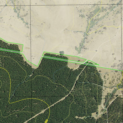 Red Hill State Forest Preview 2