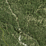 Athena Spatial Severn State Forest 2024 digital map