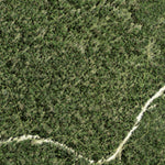 Athena Spatial Severn State Forest 2024 digital map