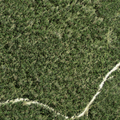 Athena Spatial Severn State Forest 2024 digital map