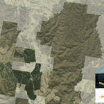 Athena Spatial Sunny Corner State Forest 2024 - Complete (Bundle) bundle