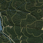 Athena Spatial Sunny Corner State Forest 2024 - South digital map