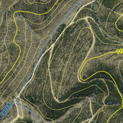 Athena Spatial Sunny Corner State Forest 2024 - South digital map