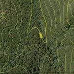 Tallaganda State Forest - North Preview 2