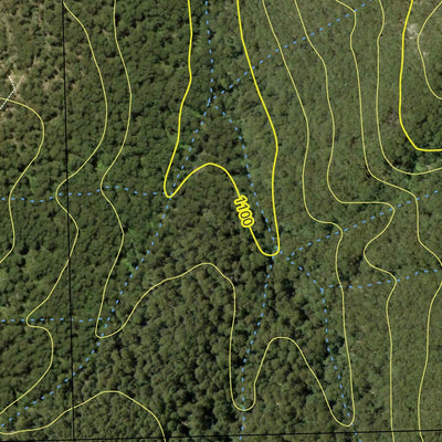 Tallaganda State Forest - North Preview 2