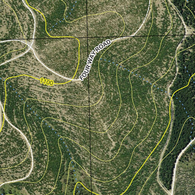 Tallaganda State Forest - North Preview 3