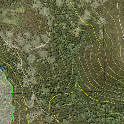 Tallaganda State Forest - South Preview 2