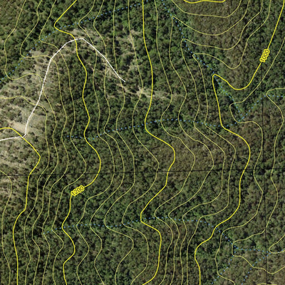 Tallaganda State Forest - South Preview 3