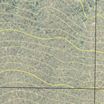 Tomalla State Forest Preview 2