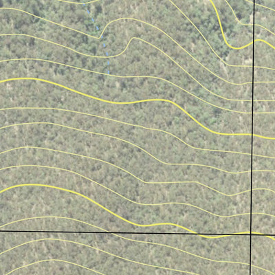 Tomalla State Forest Preview 2