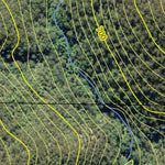 Tomalla State Forest Preview 3