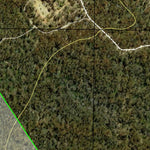Torrington State Forest Preview 2