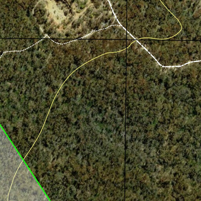 Torrington State Forest Preview 2