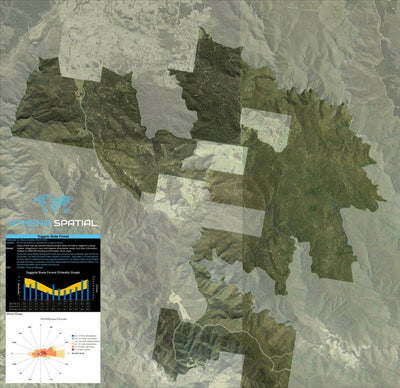 Athena Spatial Tuggolo State Forest 2024 digital map