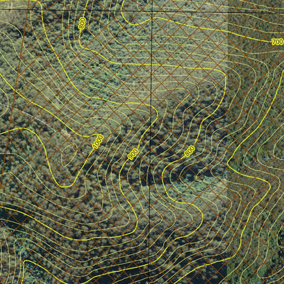 Tuggolo State Forest Preview 3