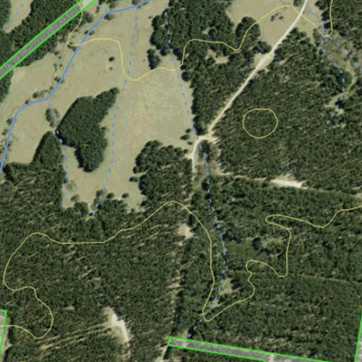 Athena Spatial Vulcan State Forest 2024 - East digital map