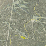 Athena Spatial Vulcan State Forest 2024 - West digital map
