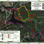 Atkinson - Woodlock Trails in the Chadwick Town Forest Preview 1