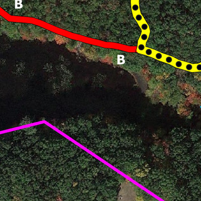 Atkinson - Woodlock Trails in the Chadwick Town Forest Preview 2