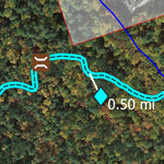 Atkinson's Sawyer Town Forest Preview 2