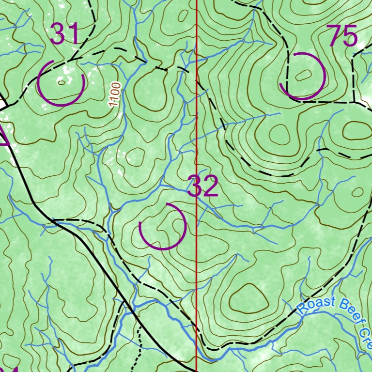 Rogaining Map 2025 ACT Spring 12 hour rogaine Bondo State Forest Map by Australian ...
