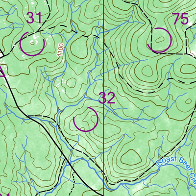 2025 ACT Spring 12 hour rogaine Bondo State Forest Preview 2