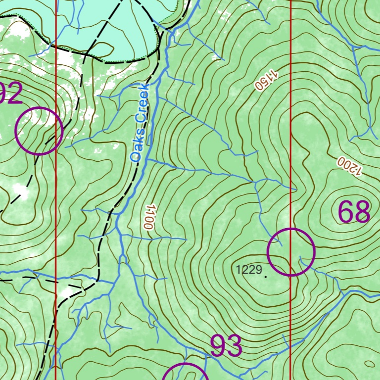 2025 ACT Spring 12 hour rogaine Bondo State Forest Map by Australian ...