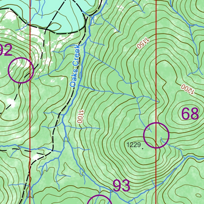 Rogaining Map 2025 ACT Spring 12 hour rogaine Bondo State Forest Map by Australian ...
