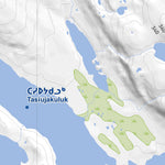 Avataq Cultural Institute 24I Kangiqsualujjuaq 5 digital map