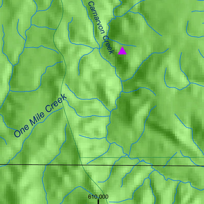 Avenza Systems Inc. Consuelo digital map