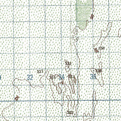 Avenza Systems Inc. Fortín Teniente G Mendoza digital map