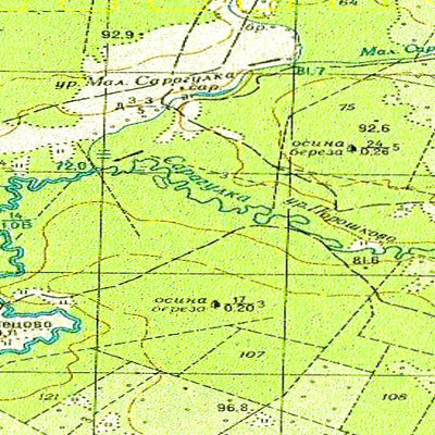 Avenza Systems Inc. Soviet Genshtab - o41-081 - Russia digital map