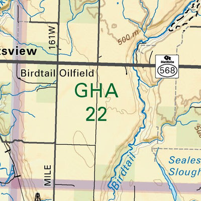 MBMB21 Birtle - Manitoba Backroad Mapbook Topo Preview 2