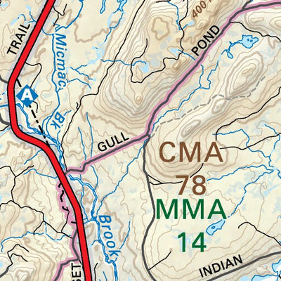 Backroad Mapbooks NLNL42 Springdale Newfoundland and Labrador Topo digital map