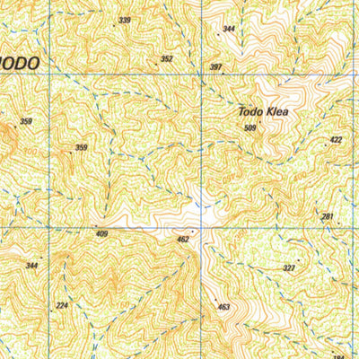 Badan Informasi Geospasial Loho Liang (2007-333) digital map