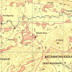 Badan Informasi Geospasial Pakong (1608-633) digital map