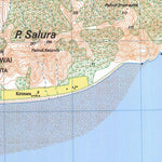 Badan Informasi Geospasial Salura (2105-414) digital map