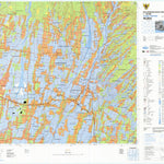 Badan Informasi Geospasial Wlingi (1507-643) digital map