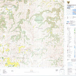 Badan Informasi Geospasial Woey (2006-344) digital map