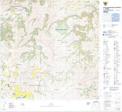 Badan Informasi Geospasial Woey (2006-344) digital map