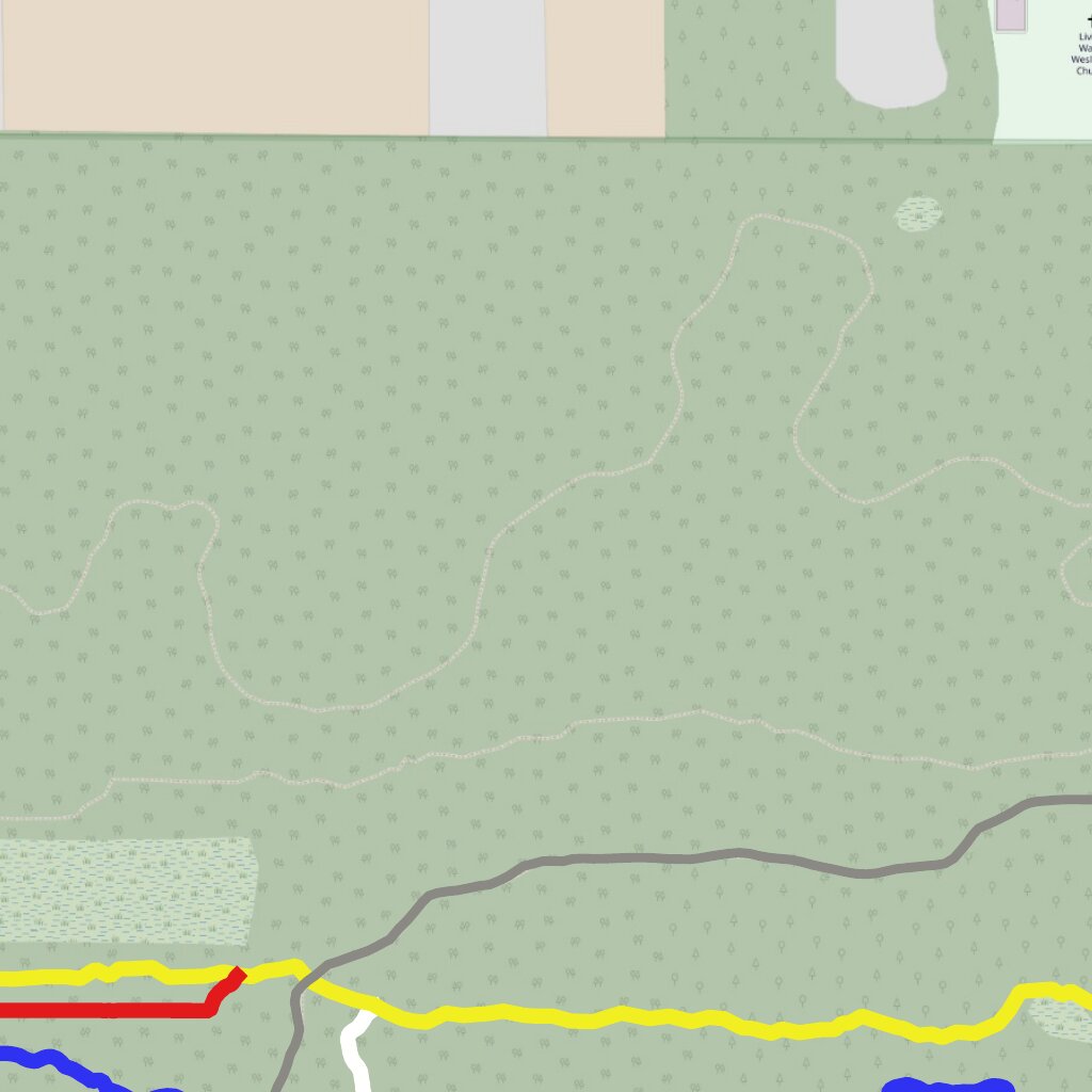 Cross Florida Greenway Equestrian Trails (Pruitt Trailhead to CR484 ...