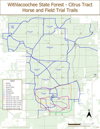 Withlacoochee State Forest - Citrus Tract Horse Trails Preview 1