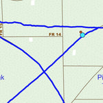 Withlacoochee State Forest - Citrus Tract Horse Trails Preview 2